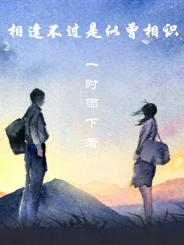 相逢不过是似曾相识下一句
