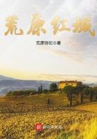 荒原红城读后感