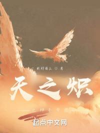 天之炽3