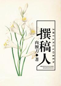 重生之娱乐圈作家女主