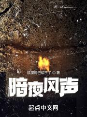 暗夜风落