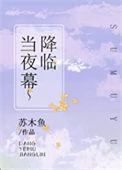 当夜幕降临在我的城市歌词