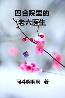 四合院开局娶了陈雪茹