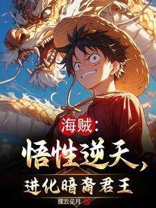 海贼之暗影降临
