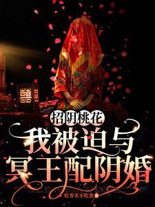 冥王妻2