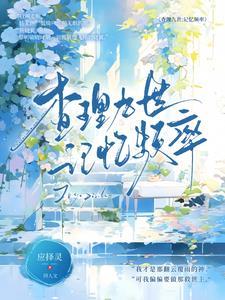 查理九世原理