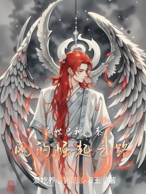 异世神婿