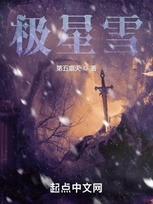 极星雪岩3冲锋衣