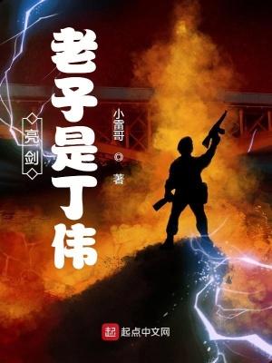 亮剑老子是丁伟TXT
