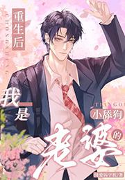 重生后我是老婆的小舔狗免费阅读