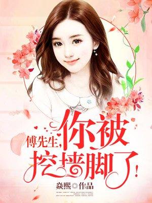 傅先生别来无恙全文免费阅读