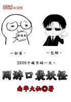口袋妖怪网络