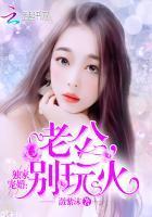 独家婚宠老公别玩火TXT全文免费阅读无弹窗