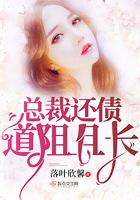 总裁还债妻