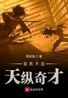 我真不是天纵奇才 第501章