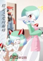 精灵之巅峰大师