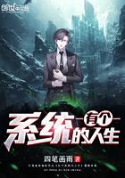 有系统的叫什么