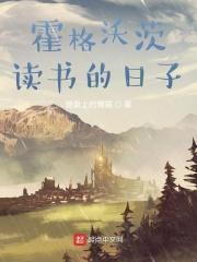 哈利波特之炼金术师怎么样