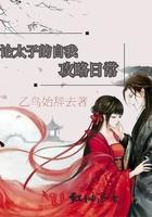 论太子妃的自我修养盘