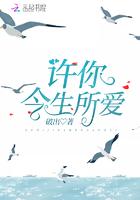 许我今生来爱你歌曲