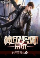 神级系统奖励免费领